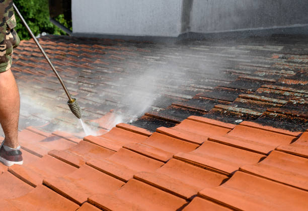 Best Pressure Washing Siding  in Oceanport, NJ