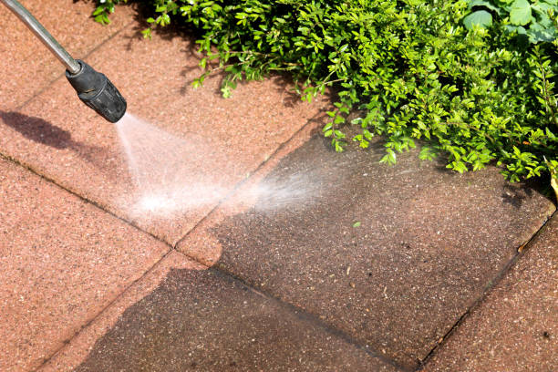 Best Pressure Washing Company Near Me  in Oceanport, NJ